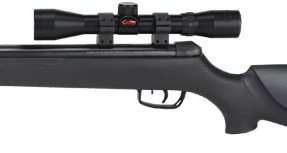 Gamo Big Cat 1250 Air Rifle with 4 x 32 Rifle Scope and PBA Platinum 