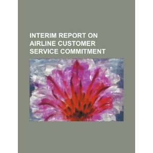  Interim Report on Airline Customer Service Commitment 