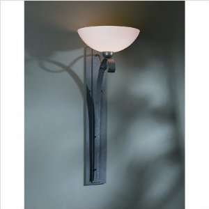    One Light Large Wall Sconce Finish Natural lron