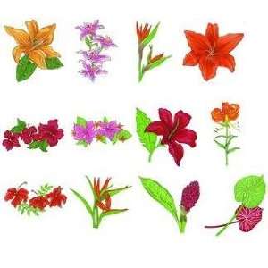   Embroidery Machine Designs CD JUMBO TROPICAL FLOWERS