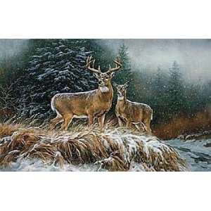  Rosemary Millette   In the Storm   Whitetail Deer