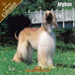  2008 Afghan 2008 Wall Calendar **IN STOCK NOW** Office 
