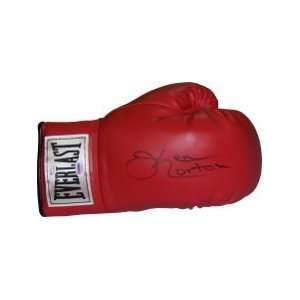   Everlast Boxing Glove  Online Authentics Hologram