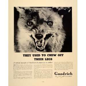 1937 Ad Goodrich Rubber Products Wolf Trappers Akron   Original Print 