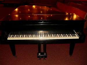 RARE ANTIQUE C. BECHSTEIN, PARLOR GRAND PIANO 6 6  