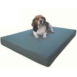   Foam Pad Pet Dog Bed with Durable External Canvas cover: Pet Supplies