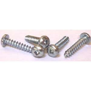  6 X 1 Self Tapping Screws Square Drive / Pan Head / Type A 