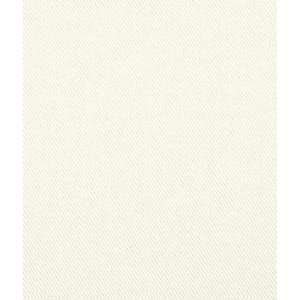  White Topsider Bull Denim Fabric: Arts, Crafts & Sewing