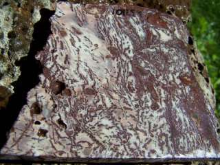 Bulico Jasper Slab From Mexico Great For Cabs Lapidary  