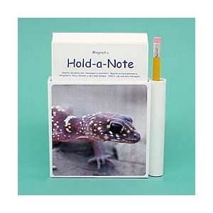  Gecko Hold a Note