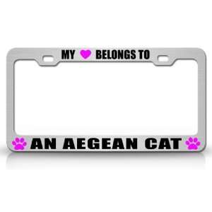 MY HEART BELONGS TO AN AEGEAN Cat Pet Steel Metal Auto License Plate 
