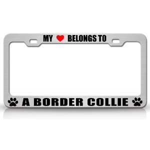 MY HEART BELONGS TO A BORDER COLLIE Dog Pet Steel Metal Auto License 