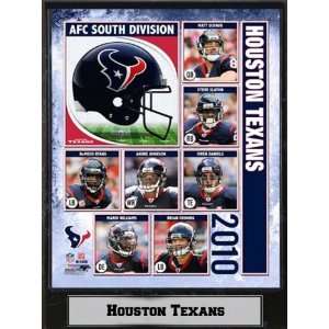 Encore Select 510 FBHOU2010 2010 Houston Texans 9x12 Stat Plaque 