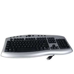  USB Multimedia Keyboard with USB Hub (Black/Silver 
