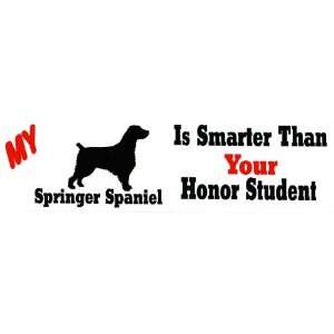   Springer Spaniel is smarter than your honor student 