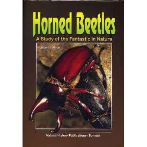  Horned Beetles A Study of the Fantastic in Nature 