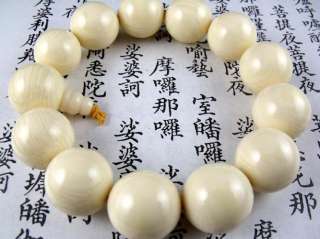 18mm hippo teeth beads Tibetan Buddhism Amulet Bracelet  