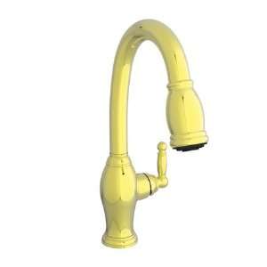  Newport Brass 94P/24 Polished Gold Kitchen Faucets Single 