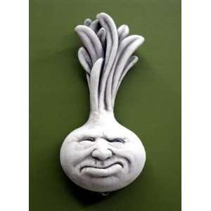  Stone Grouchy Ornery Onion   Collectible Plaque   Veggie Food Face 