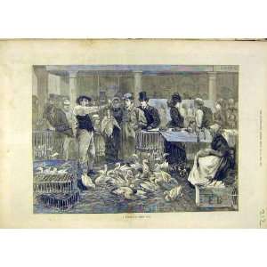   Michaelmas Goose Fair Poultry People Places Print 1873: Home & Kitchen