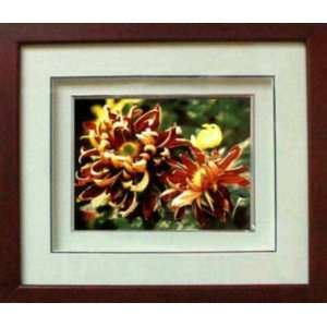  Framed Chinese Silk Embroidery : Maroon Chrysanthemum 11 