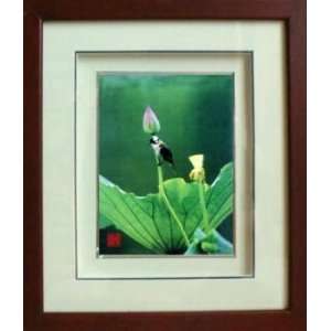  Framed Chinese Silk Embroidery  Lotus & Bird 11x12.6 
