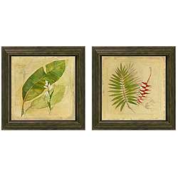   Botanical Study Framed Wall Art (Set of 2)  