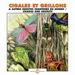  Sounds of Nature Cicadas and Crickets Various Artists 