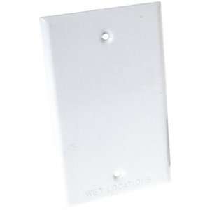  Raco #5173 1 WH WP 1G Blank Cover