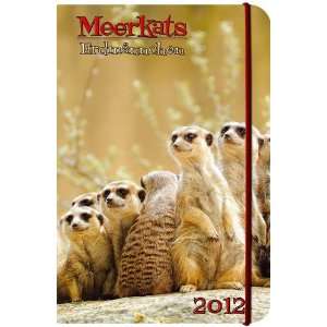  Meerkats 2012 Small Agenda