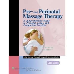 Pre  and Perinatal Massage Therapy A Comprehensive Guide to Prenatal 