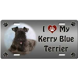  I Love My Kerry Blue Terrier License Plate: Sports 