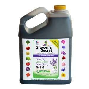   GSGB1G 1 Gallon Growers Secret Grow Big Patio, Lawn & Garden