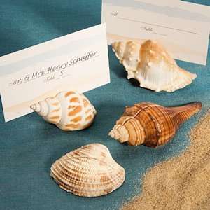  Natural Shell Place Card Holders