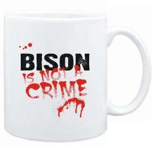   White  Being a  Bison is not a crime  Animals