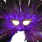   Imports Musical Style Party Mardi Gras Adult Costume Mask Purple