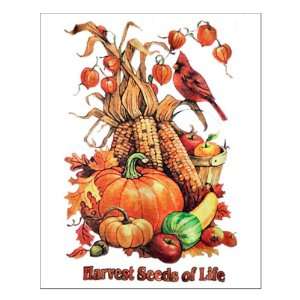   Thanksgiving Harvest Seeds of Life Corn Pumpkin 