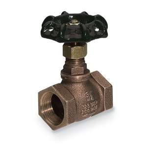  Bronze globe valve; 2 NPT(F) Industrial & Scientific