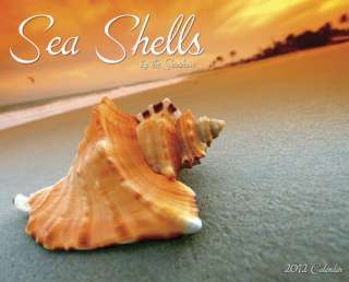 Sea Shells 2012 Wall Calendar 9781607553984  