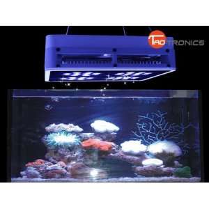   Design LED Aquarium Coral Reef Tank White Blue 1:1 LED Grow Light 141W