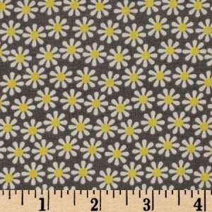  44 Wide Michael Miller Daisy Flowers Grey By The Yard 