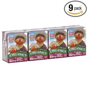 Sesame Street Ernies Berry Juice, 125 Ounce (Pack of 9)  