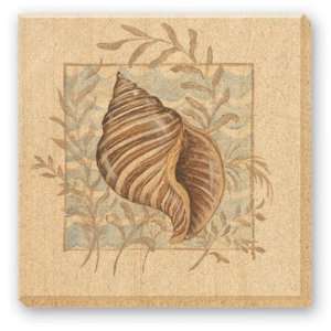 CounterArt Seashells Design Natural Sandstone Absorbent Coasters, Set 