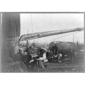  Loading boom on a spar tree,Logging in Washington,c1921 