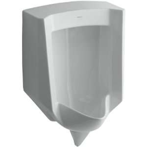 Kohler K 4972 ER 95 Ice Grey Stanwell Lite Urinal with Rear Spud from 
