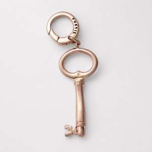 Fossil Rose Large Key Charm: Jewelry