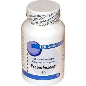  Proanthozone 50mg for Large Dogs (120 Caps): Pet Supplies