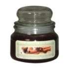 Country Living 9oz Jar Candle   Gourmet Spice