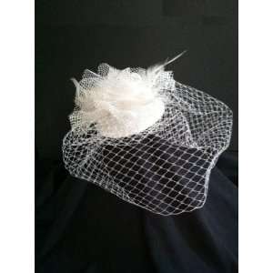   Birdcage Hat Blusher Wedding Bridal Veil Feather 