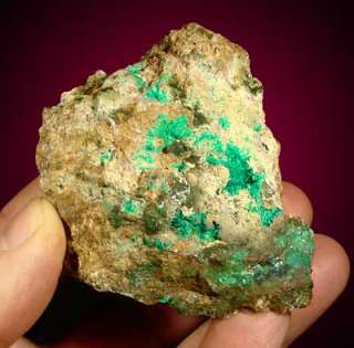Sharp Green DIOPTASE Crystals Christmas Mine AZ  